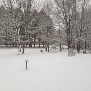 Meet your Posher, Helen